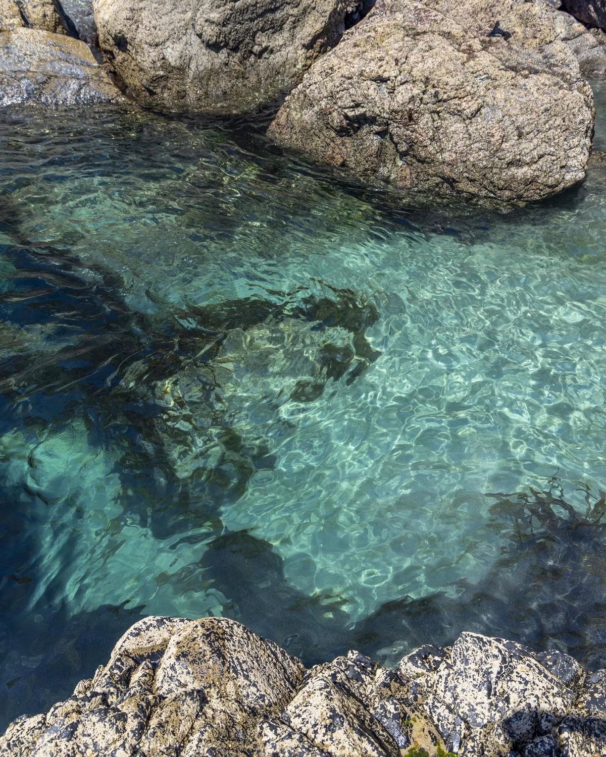 Kynance mermaid pool