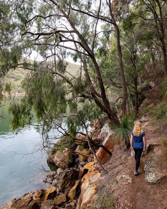 Berowra Track
