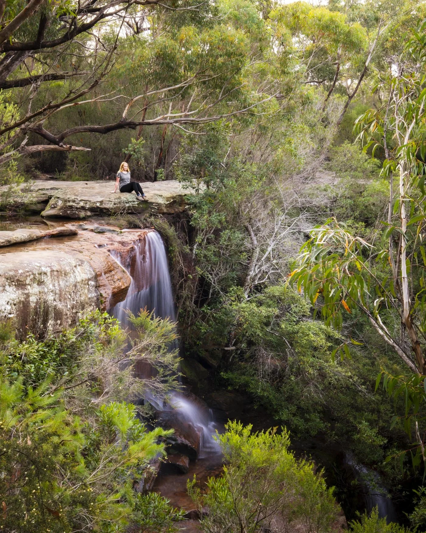 The Uloola Trail in Royal National Park