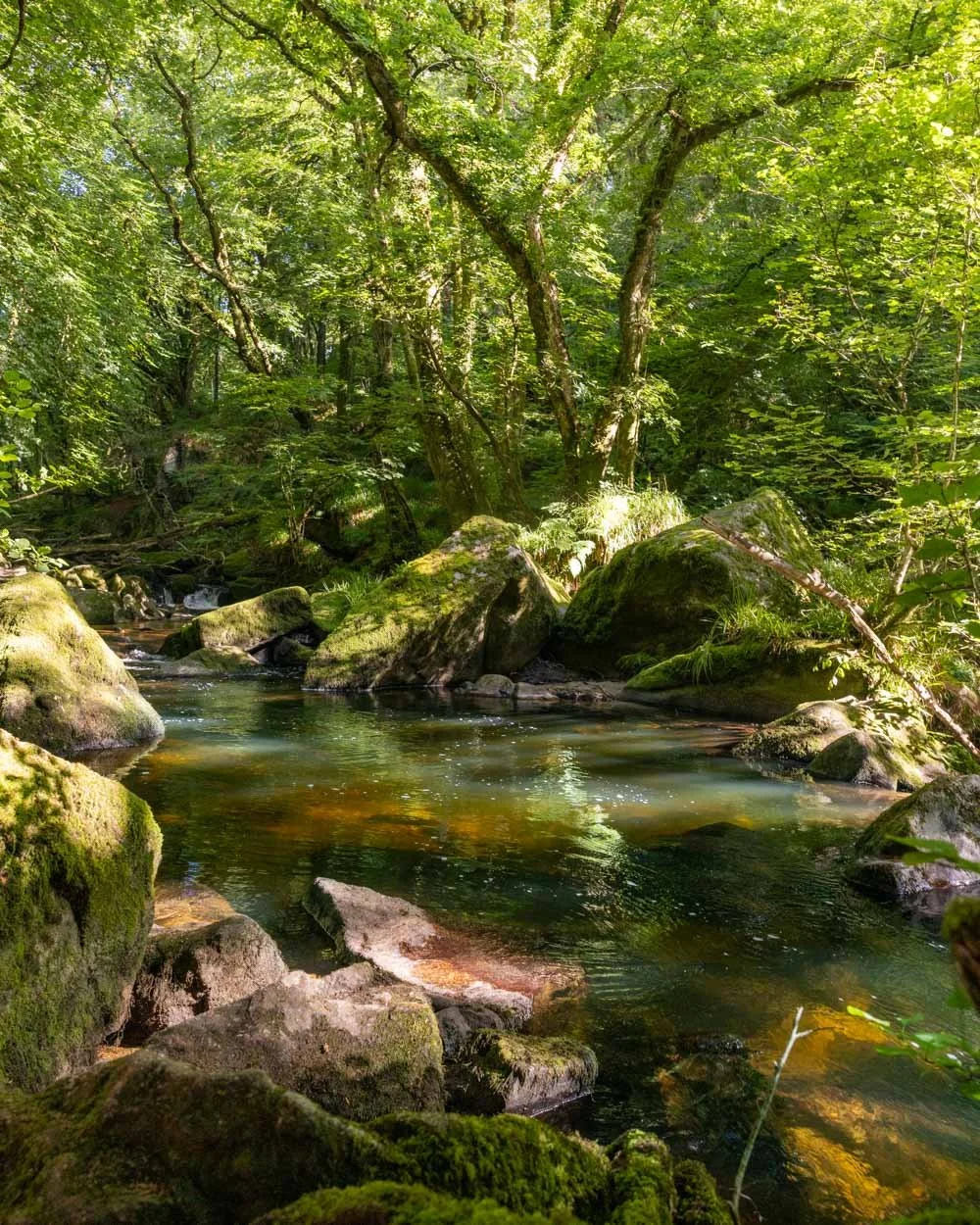 Golitha falls