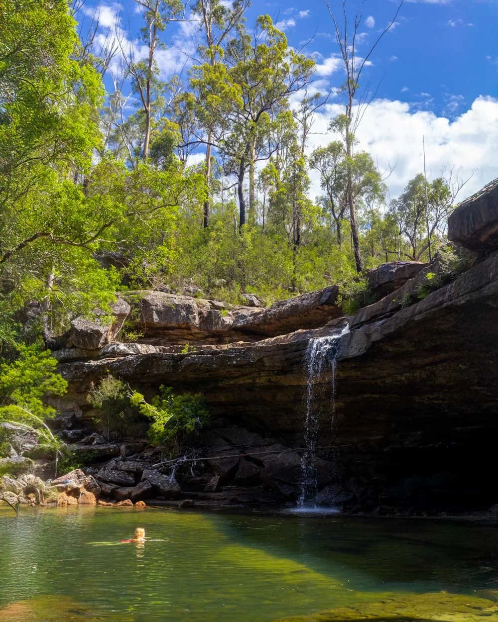 sandy creek