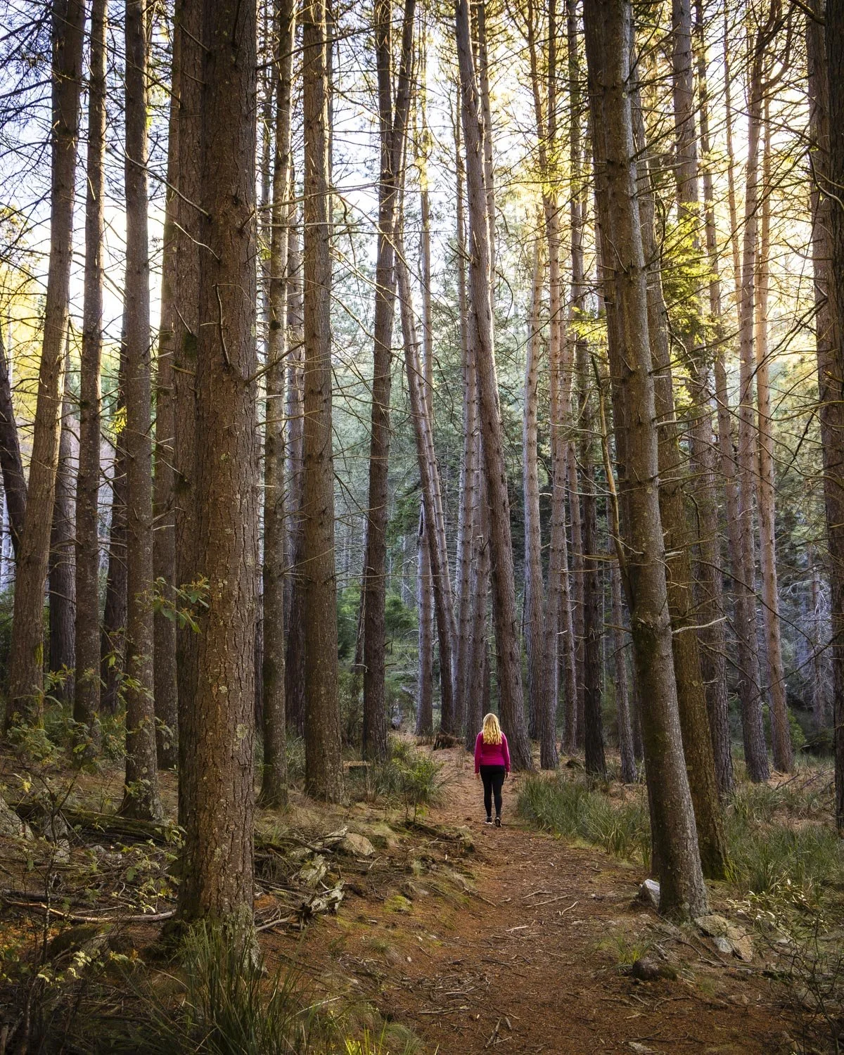 Bendora Arboretum