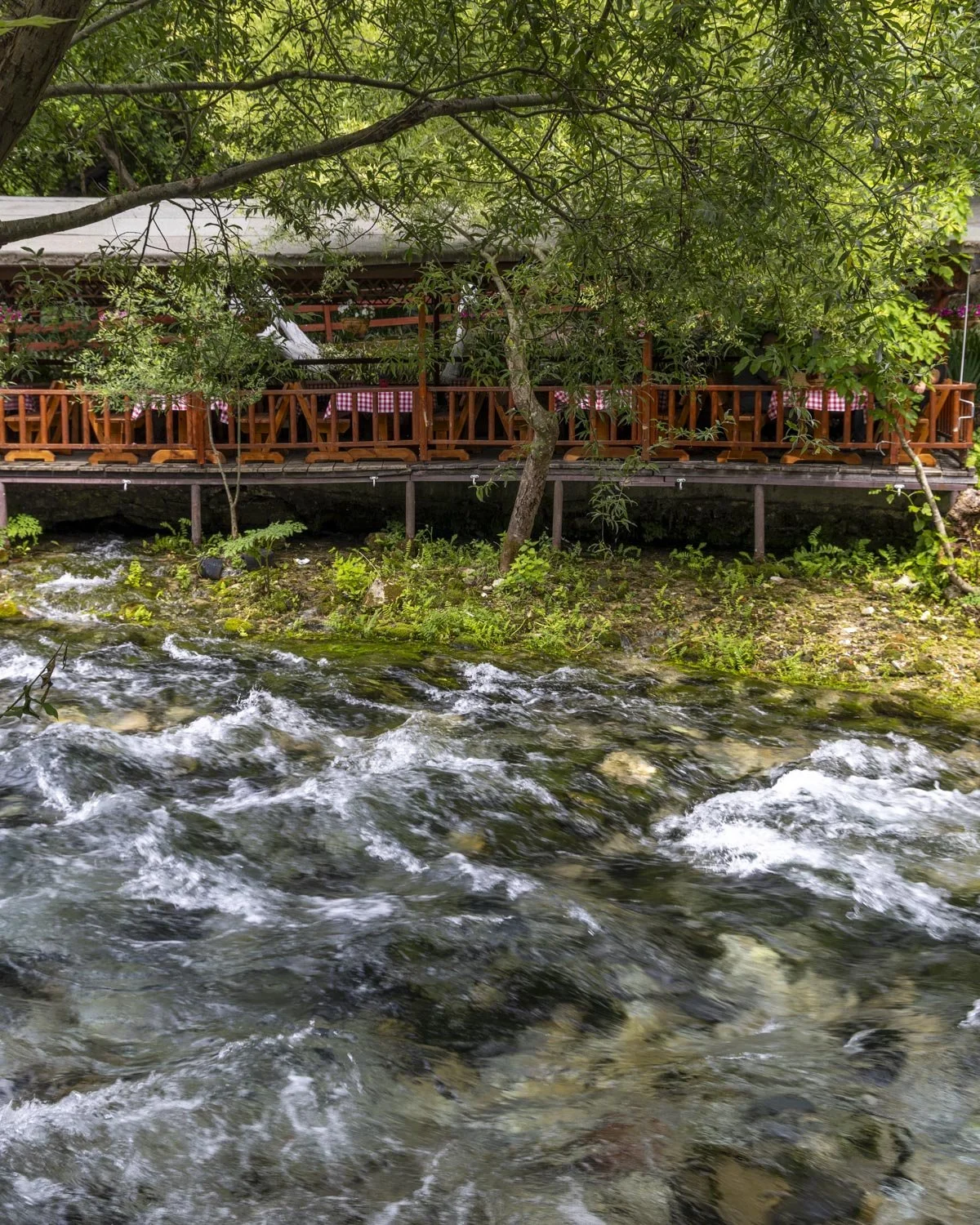 cafe at blue eye albania