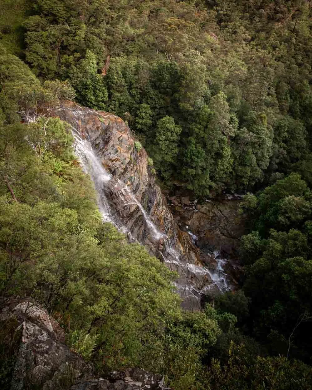 Leura Cascades Walk