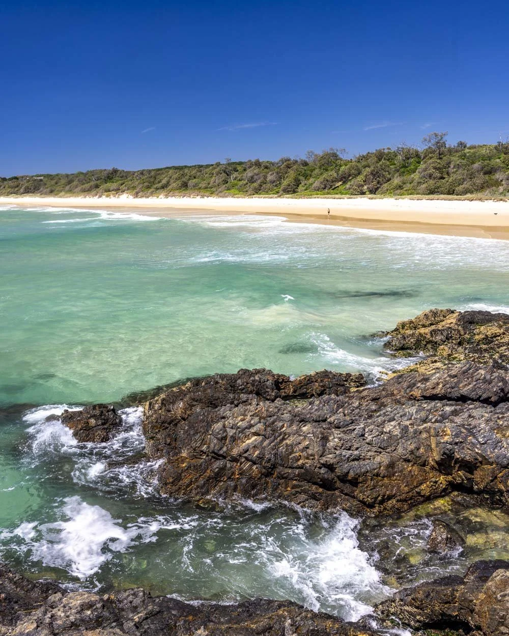 Delicate Nobby Beach