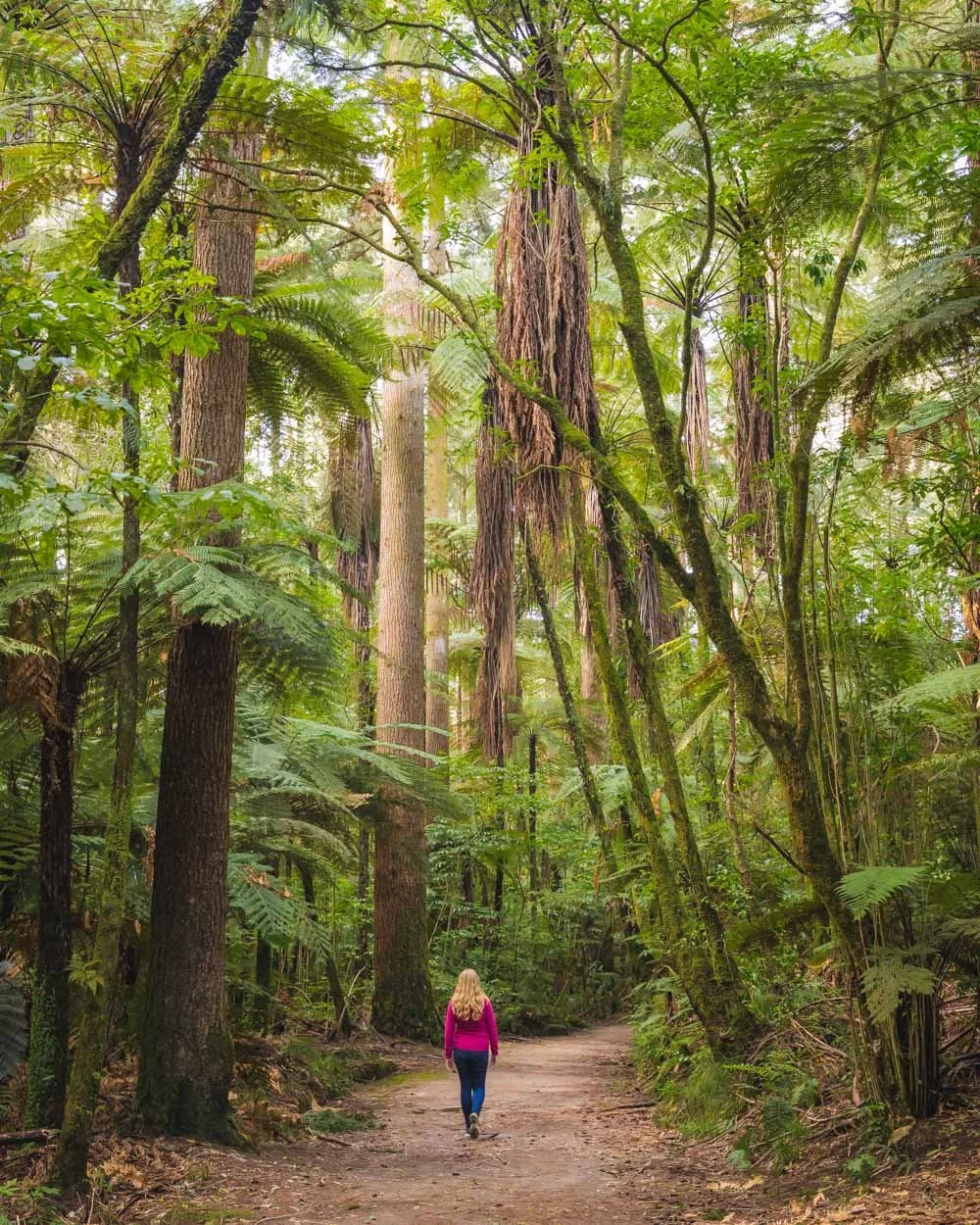 Redwoods Circuit