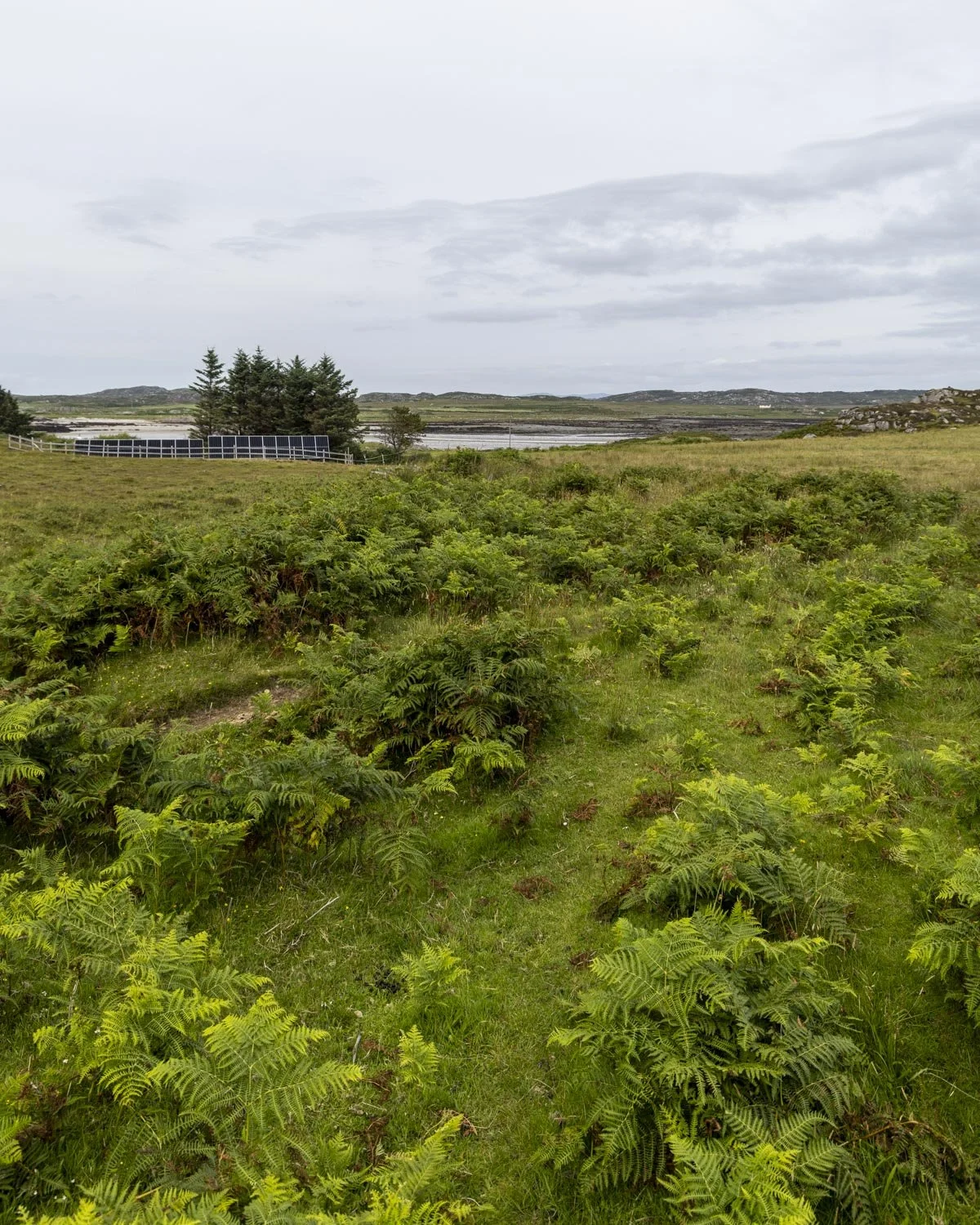 Erraid island walk