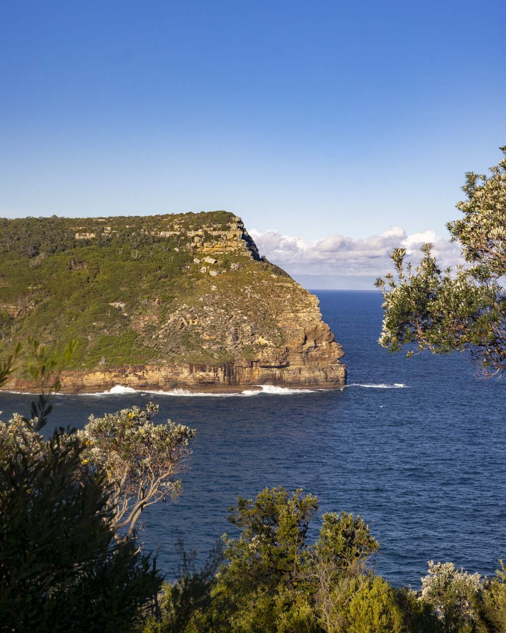 steamers beach