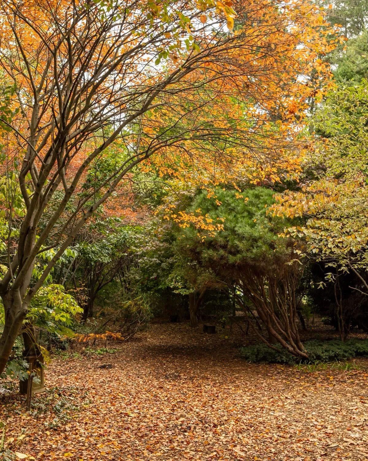 Red Cow Farm - Best things to do in Bowral