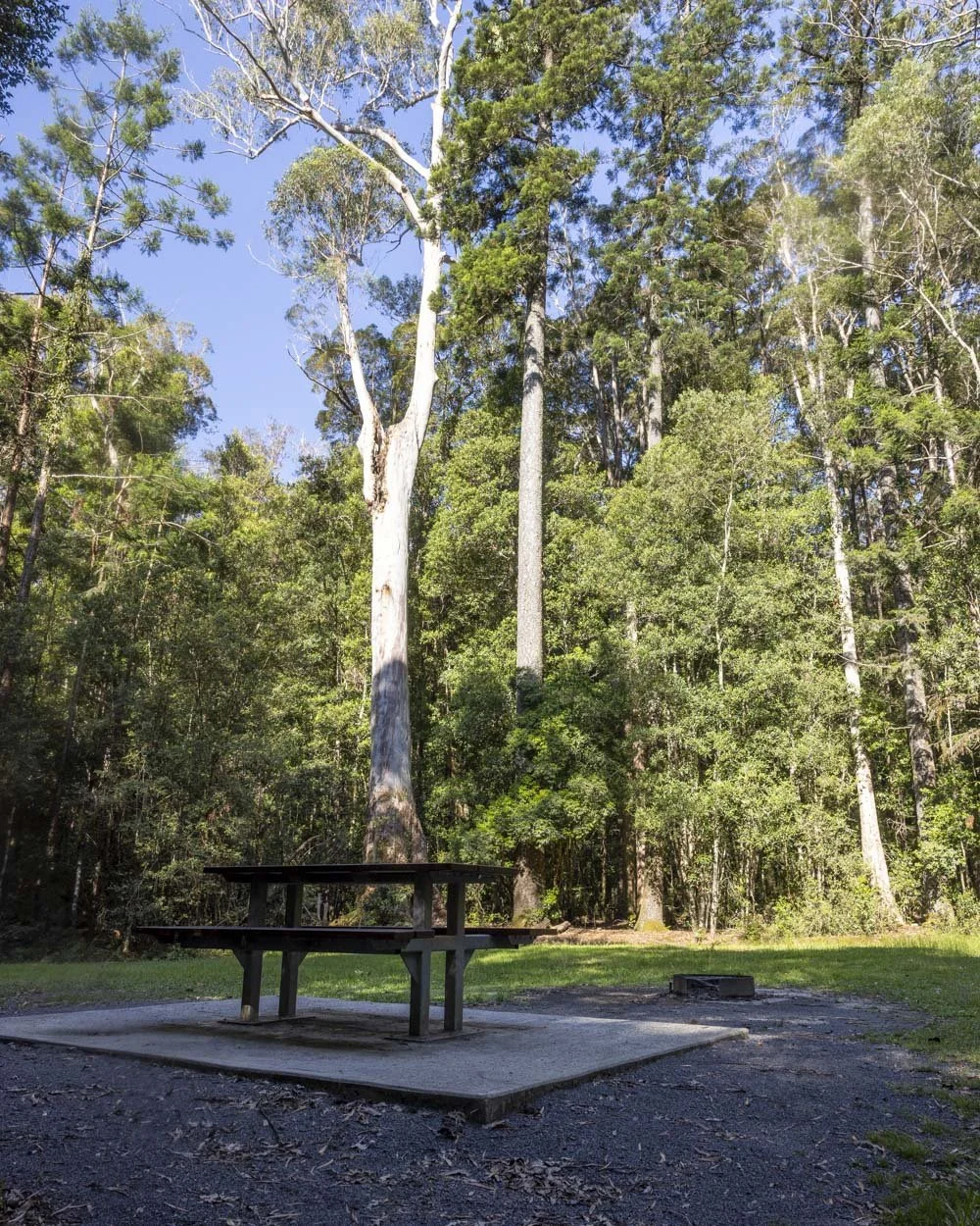 Mobong Track picnic area