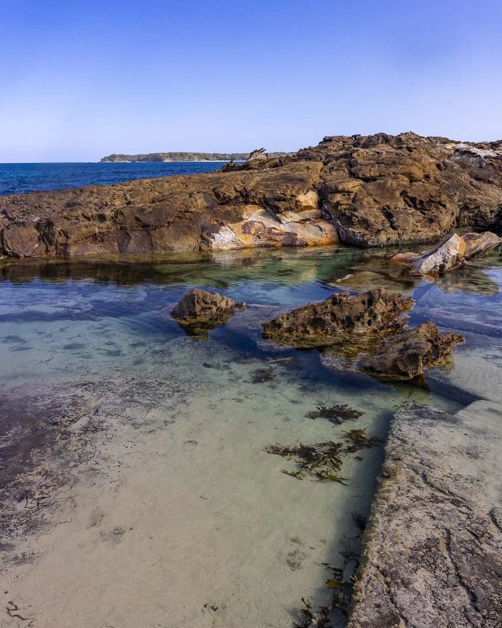 mermaid pool