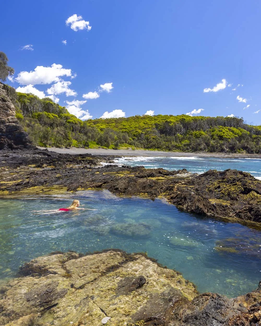 Honeysuckle Beach Rockpools