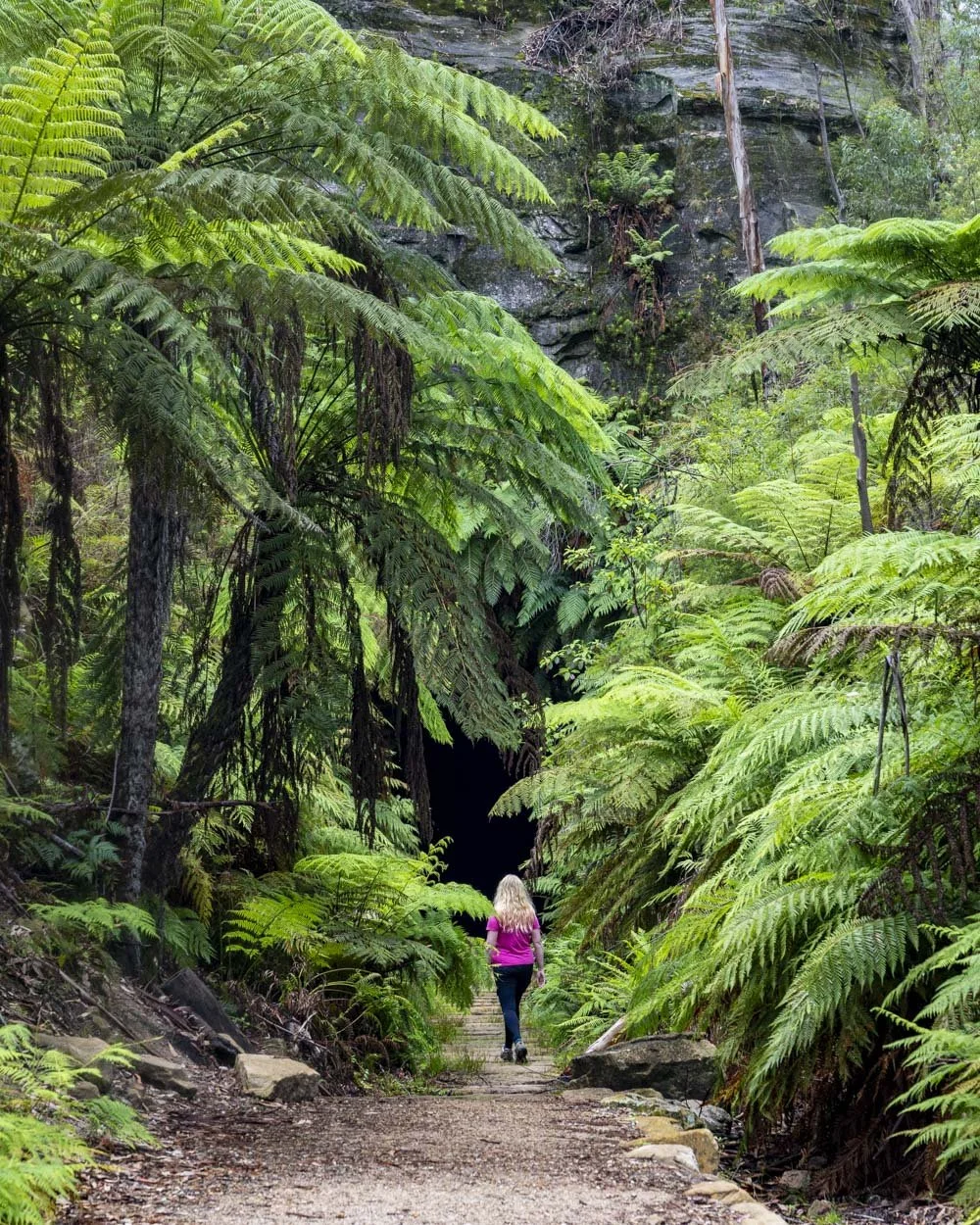 The entrance to the Glow Worm Tunnel
