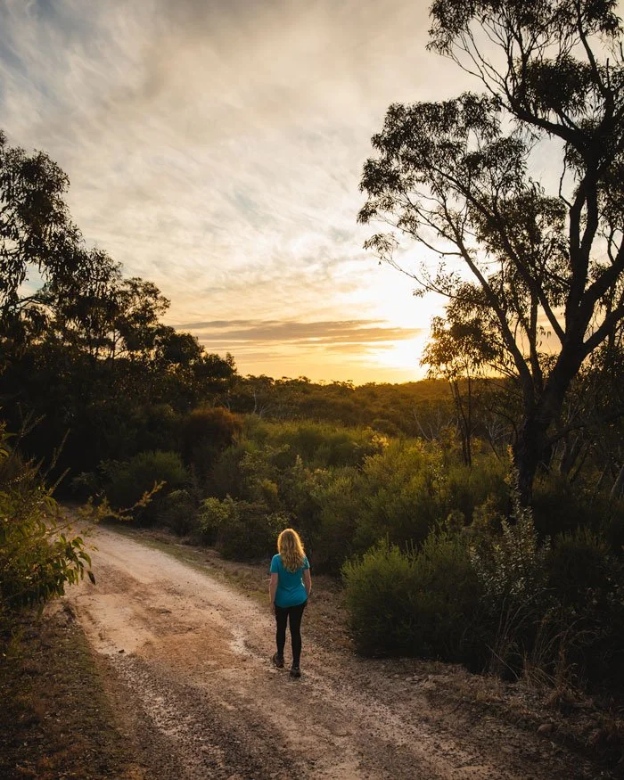 The paved road on the Basin Trail