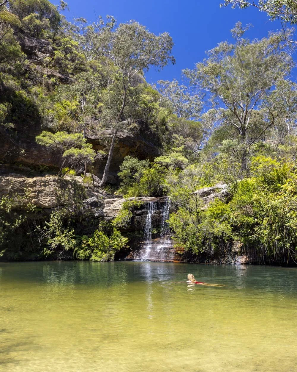 Paradise Pool - Wild Swimming holes in the Blue Mountains