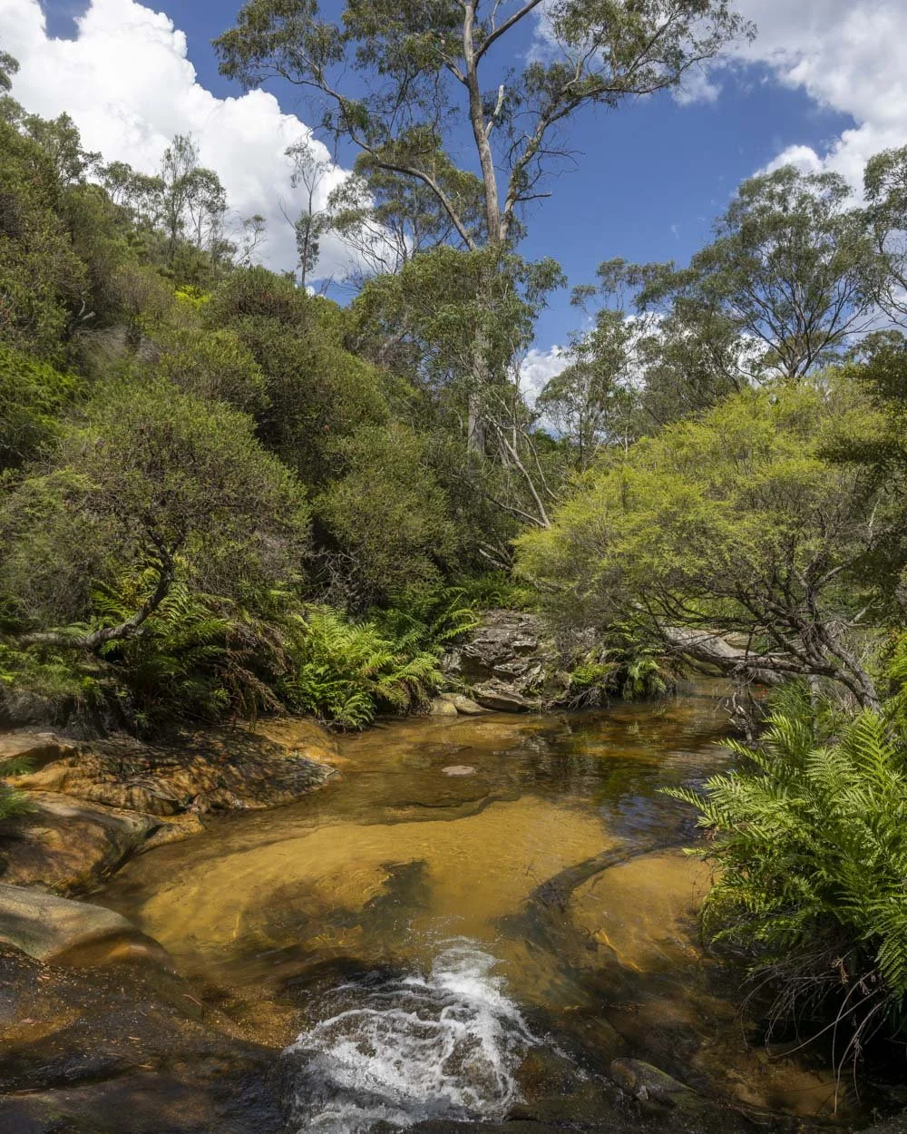 Charles Darwin Walk