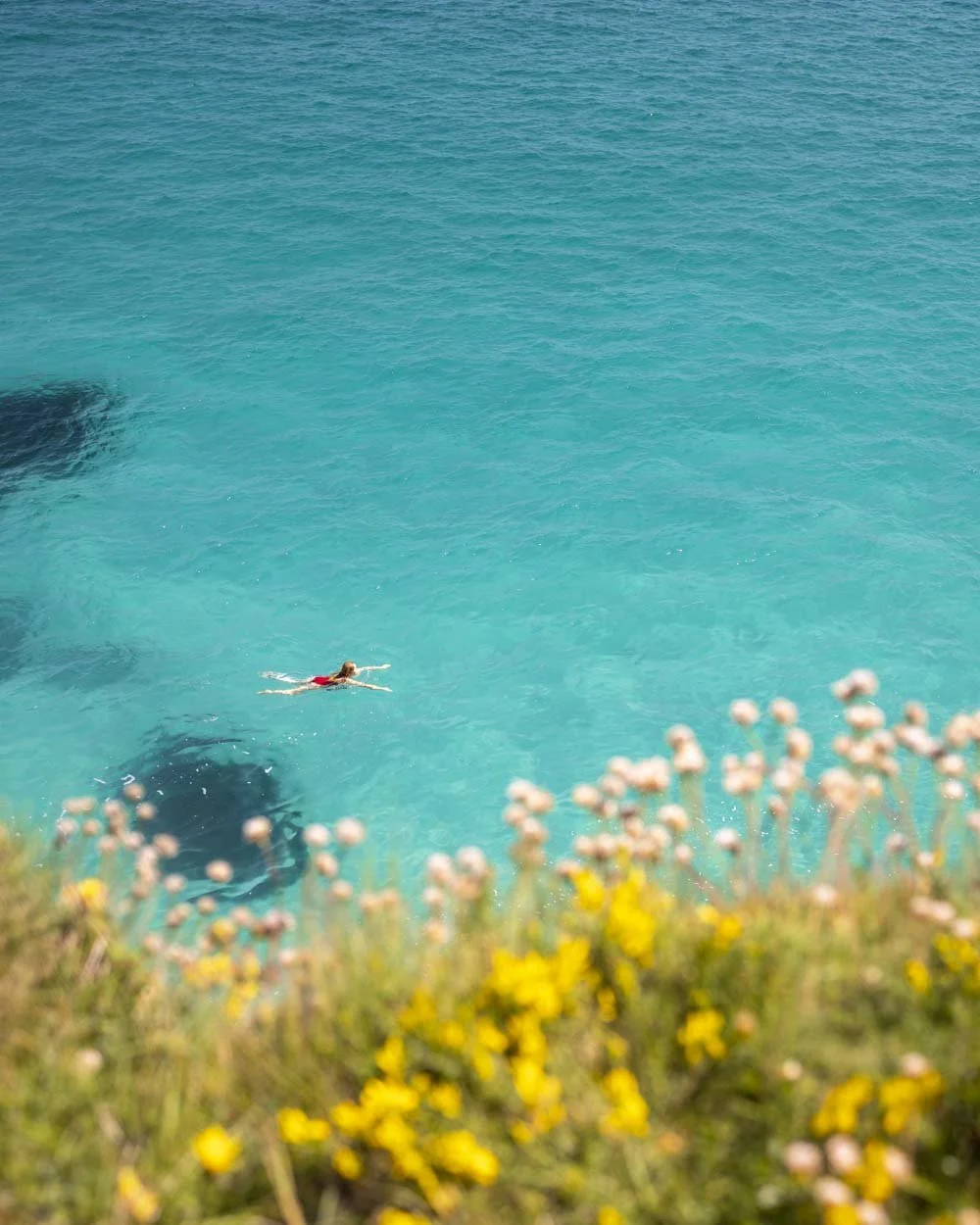 Mother ivey's bay