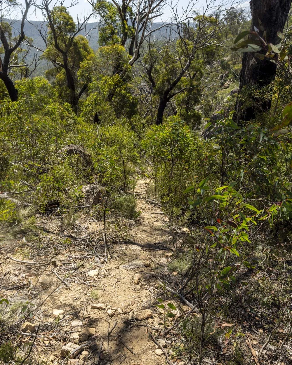 The off track for Morong Falls