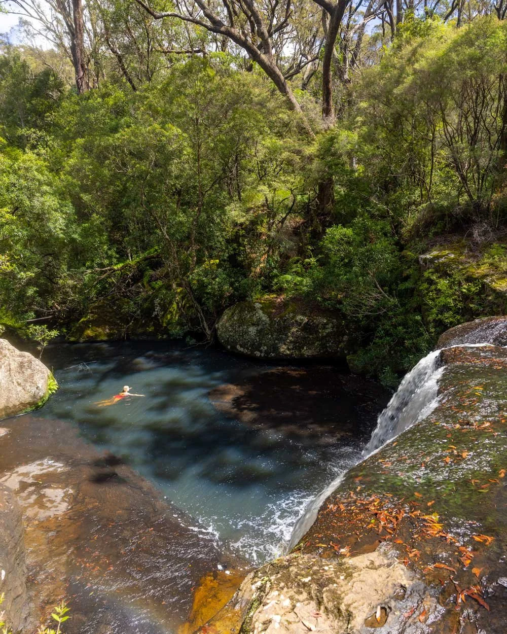 Belmore Falls - Things to do in Kangaroo Valley