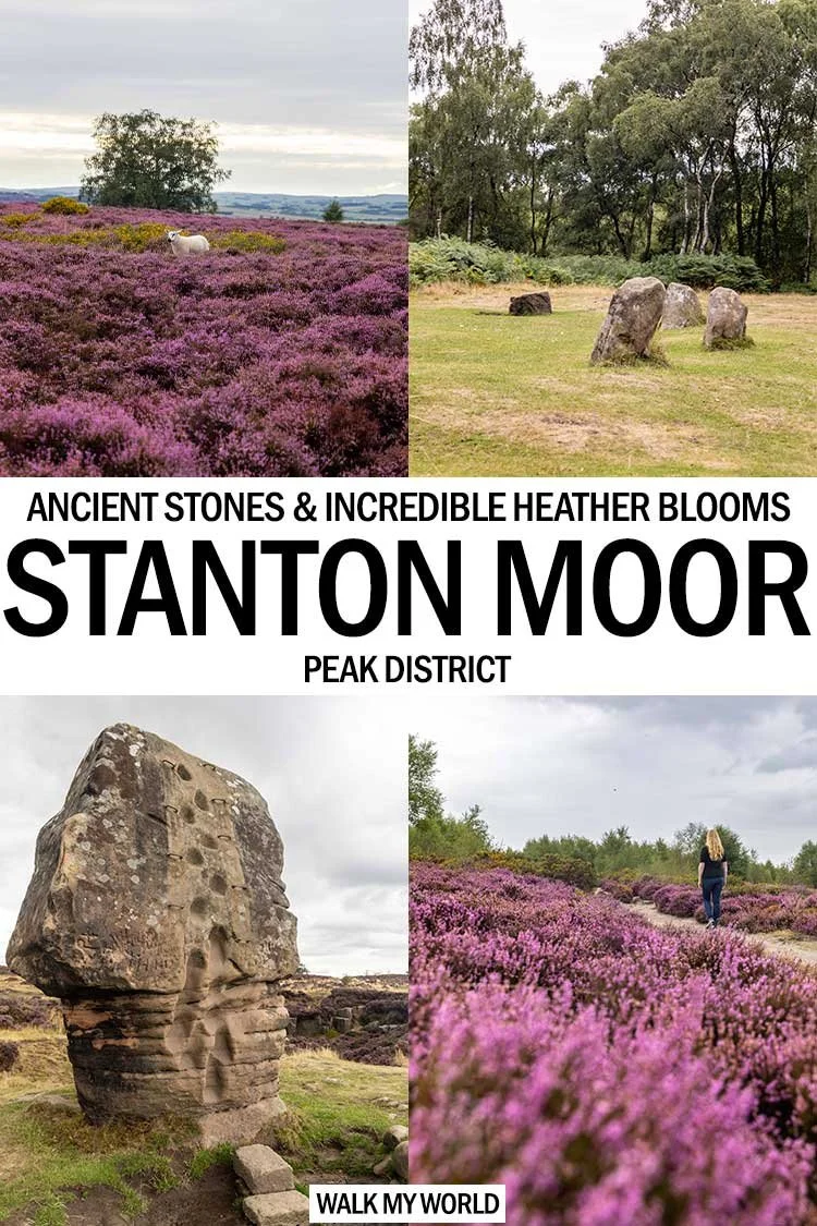 Stanton Moor ancient stones & incredible heather blooms — Walk My World