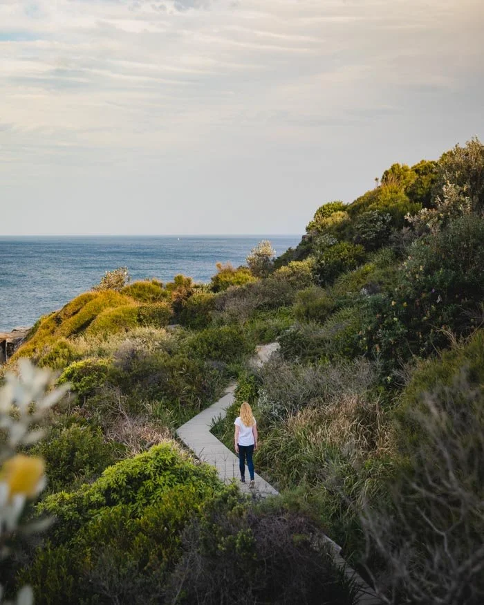 dee why to manly walk