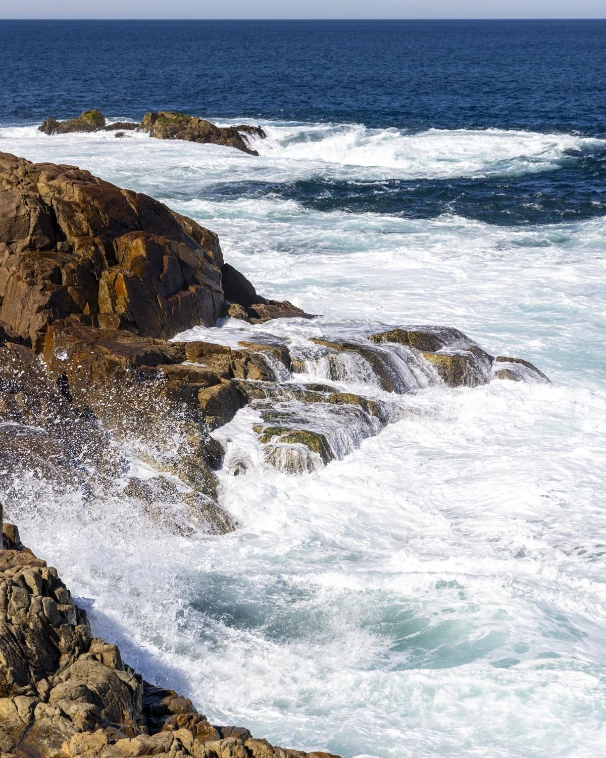 the wavy bay