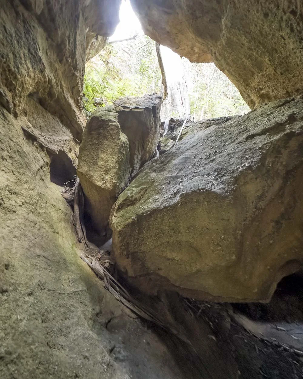 Acoustic Canyon