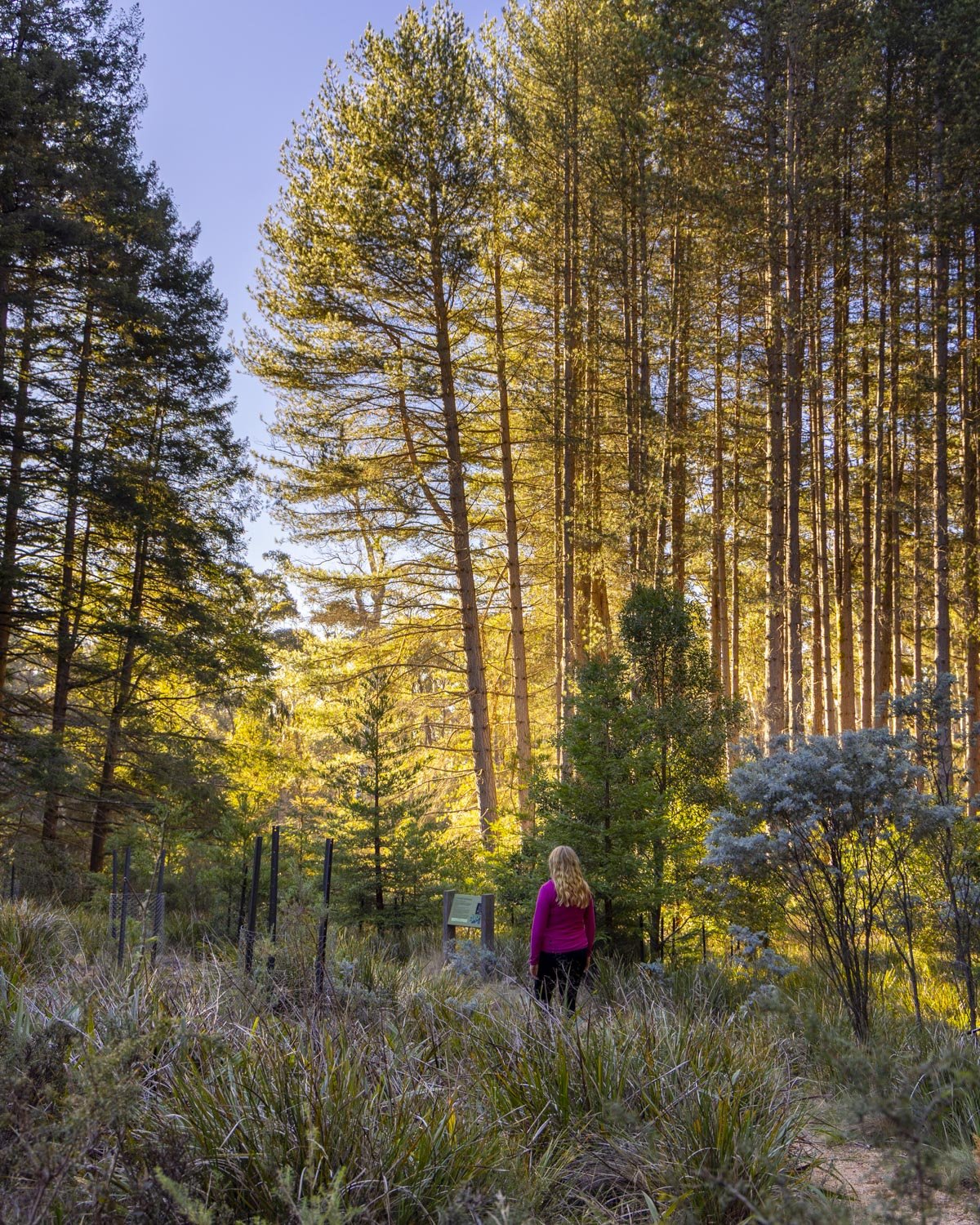 Bendora Arboretum