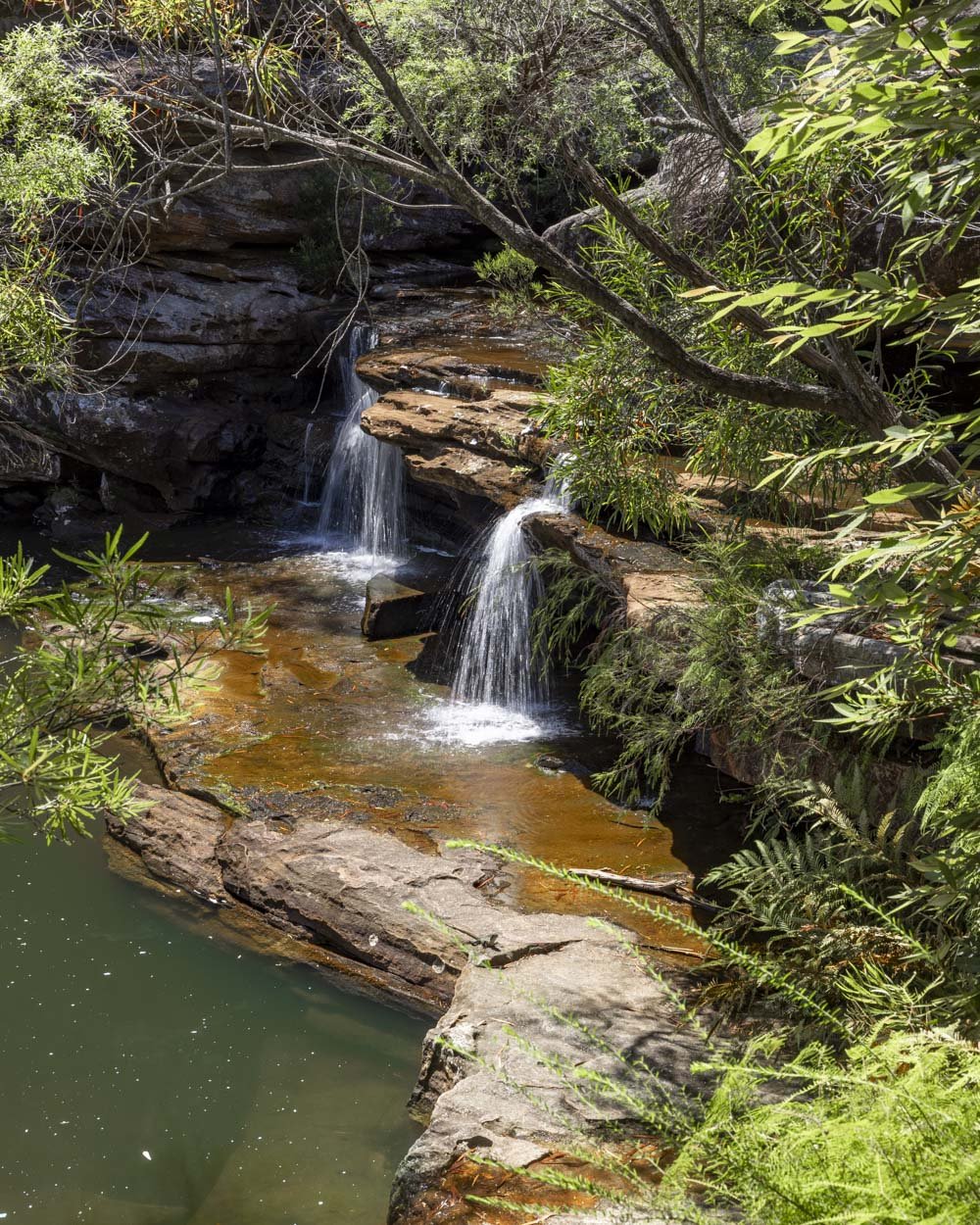 kingfisher pool