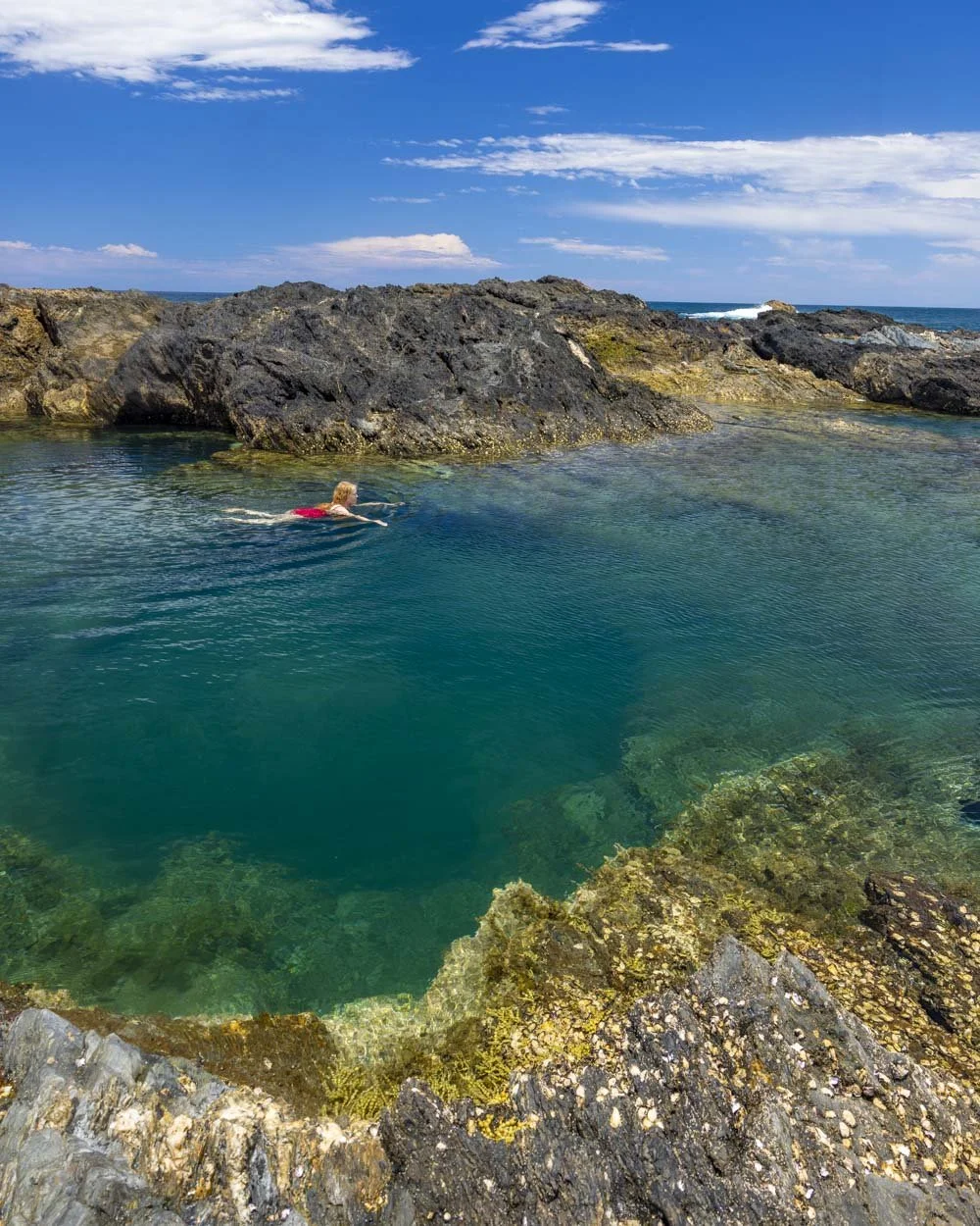North Head Rockpools