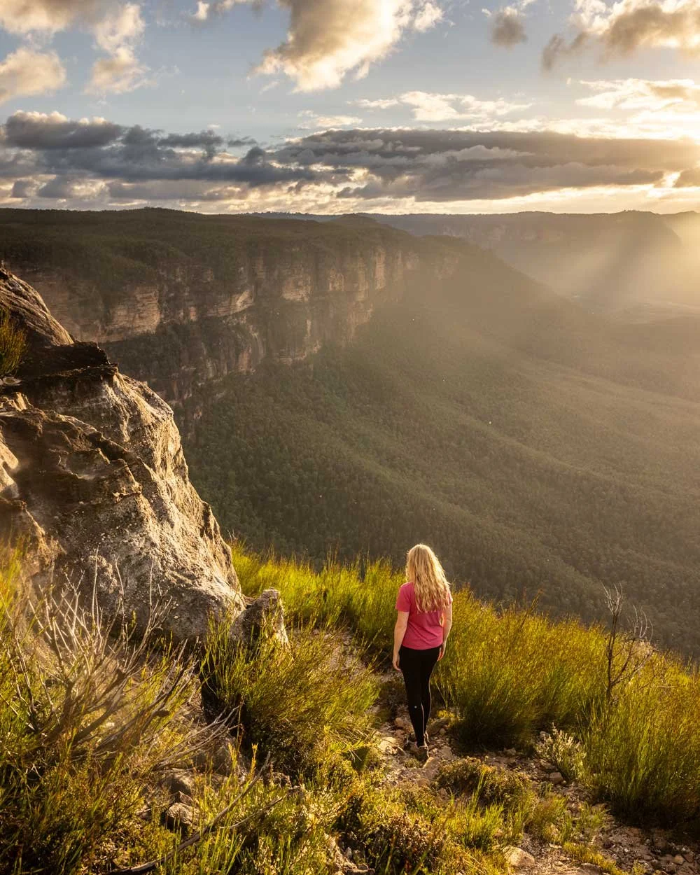 Butterbox Point Walk in Leura