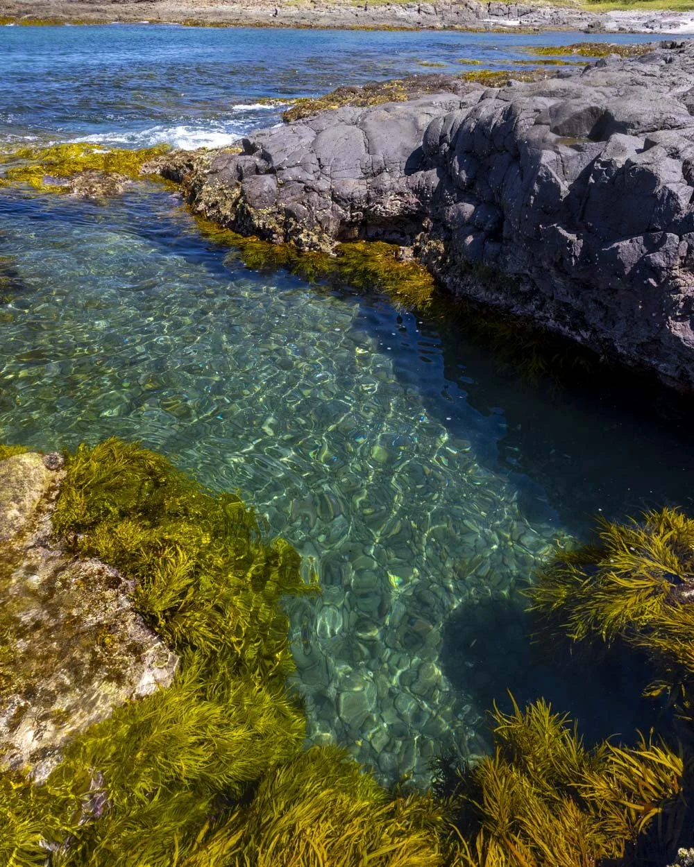 How to find Shellharbour's secret rockpools at Maloneys Bay — Walk My World