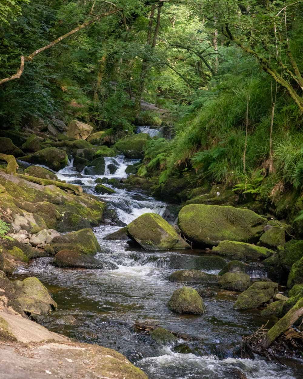 Golitha falls