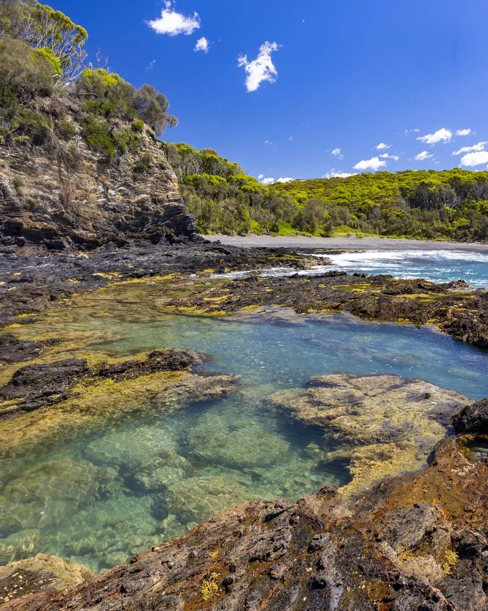 Honeysuckle Rockpools