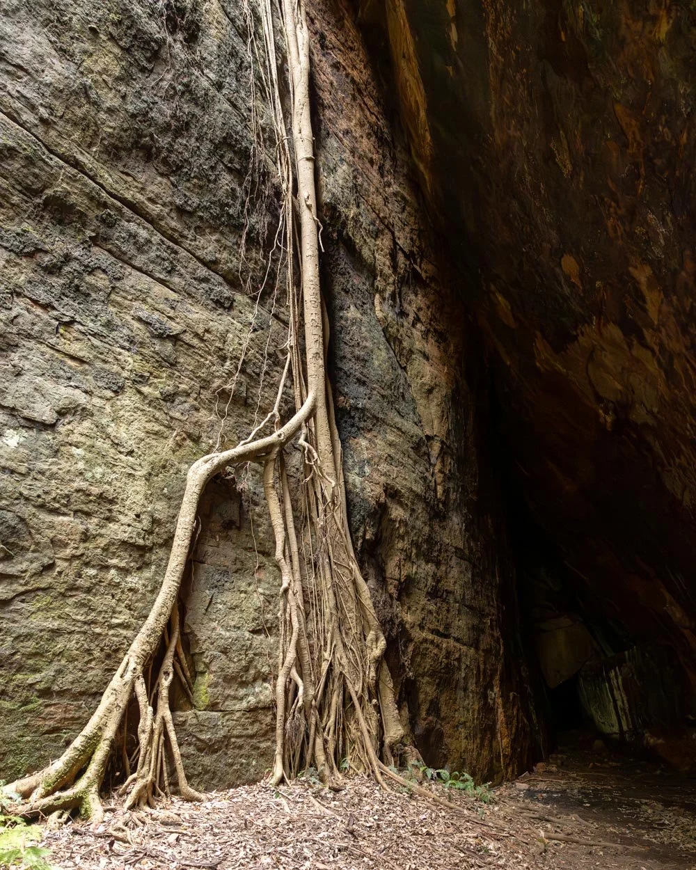 the grotto