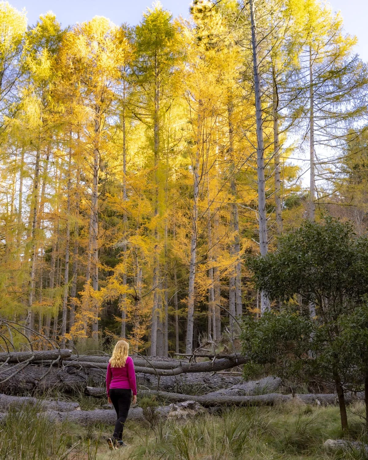 Bendora Arboretum