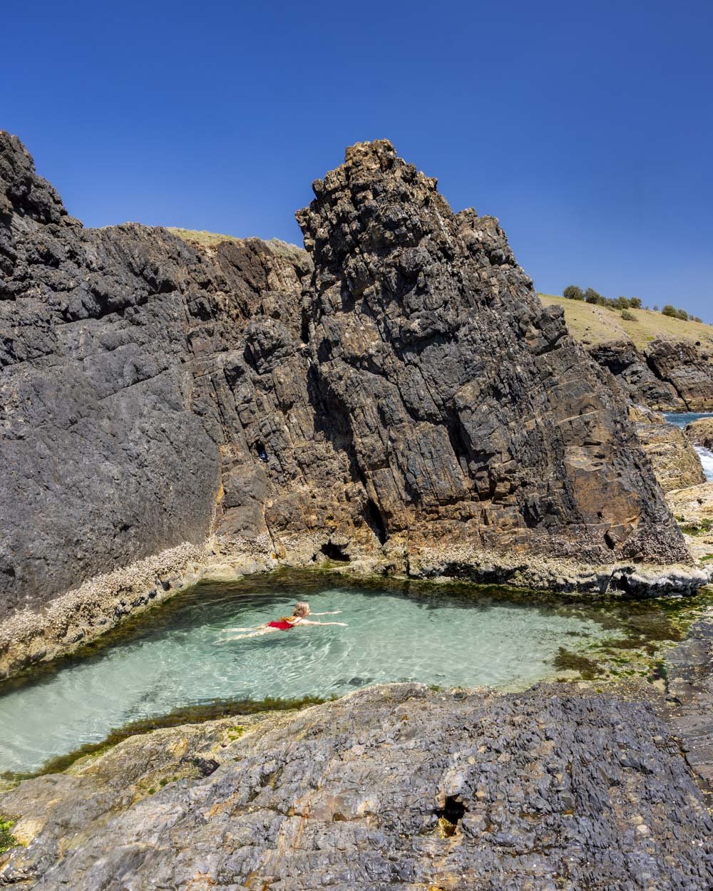 Delicate Beach Rockpool