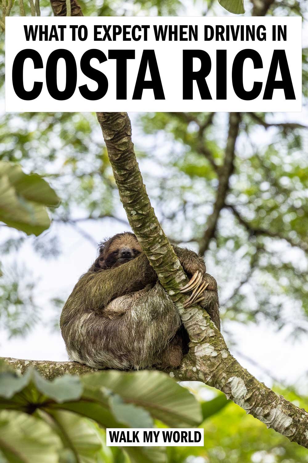 Driving in Costa Rica: 10 things to know as a tourist — Walk My World