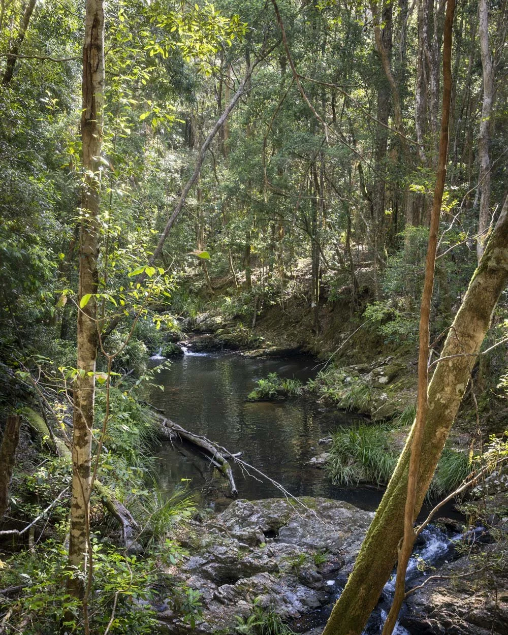 Mobong Track swimming hole