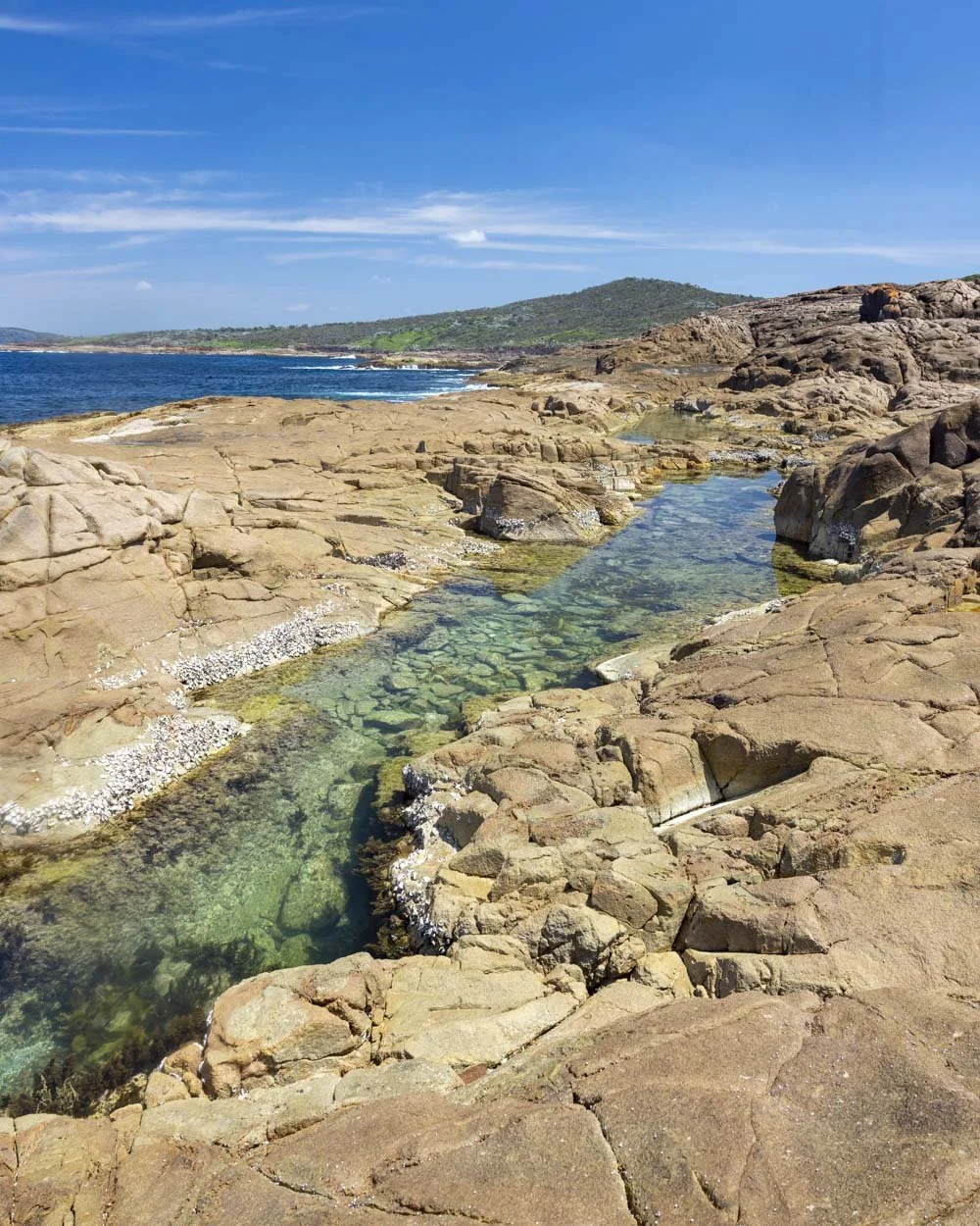 Fingal Island rockpool