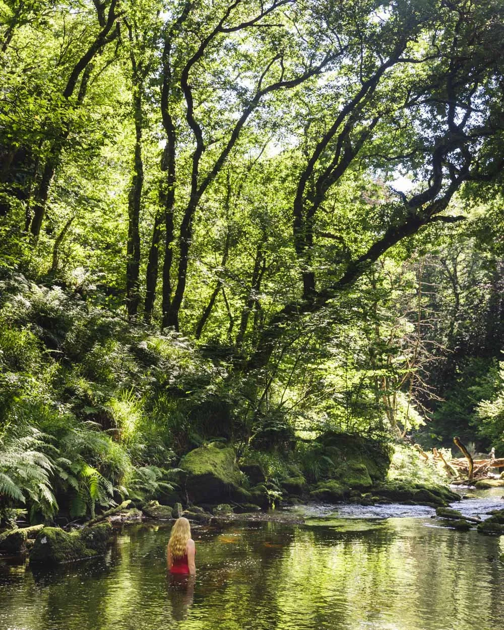 Golitha falls