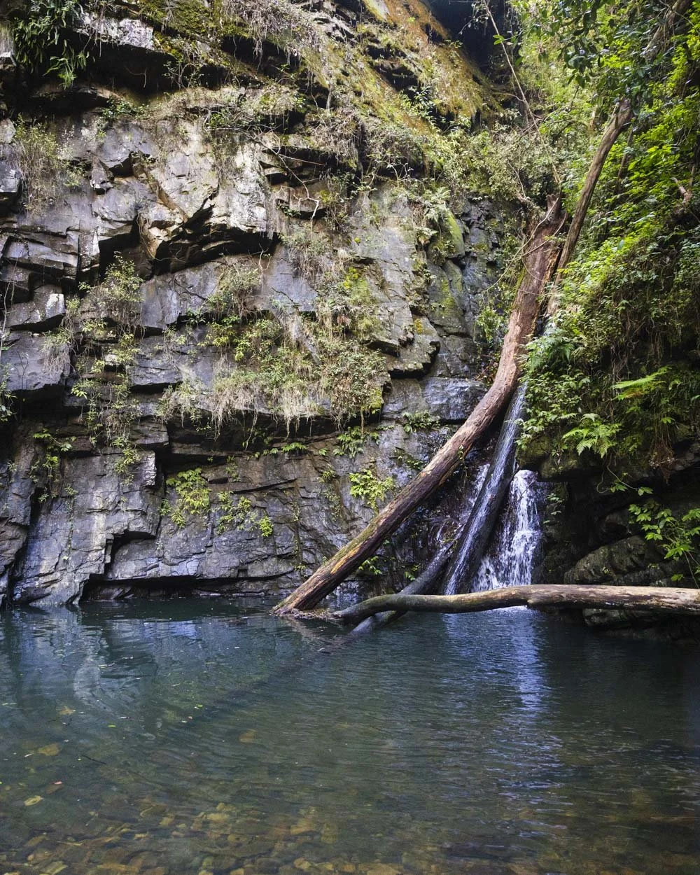Problem Creek Falls: wild swimming at Barrington Tops' secret waterfall ...