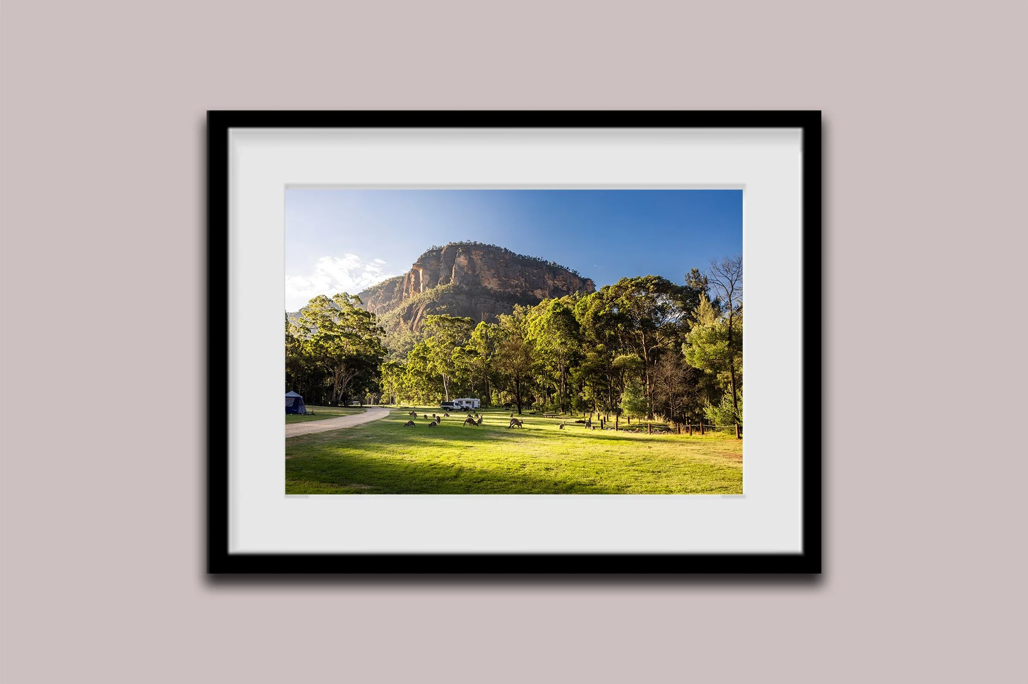 Frame-2.jpg