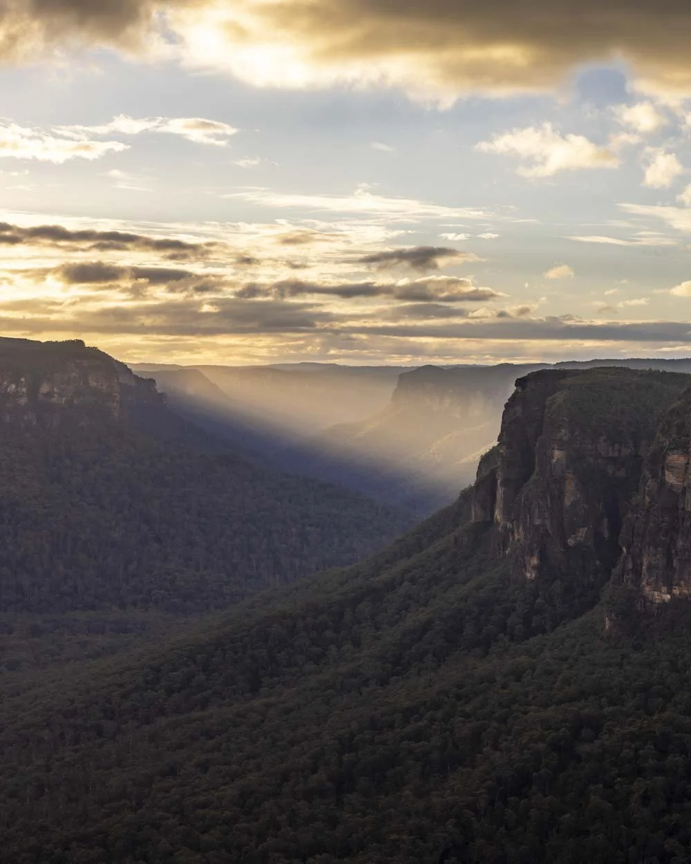 Butterbox Point Walk in Leura
