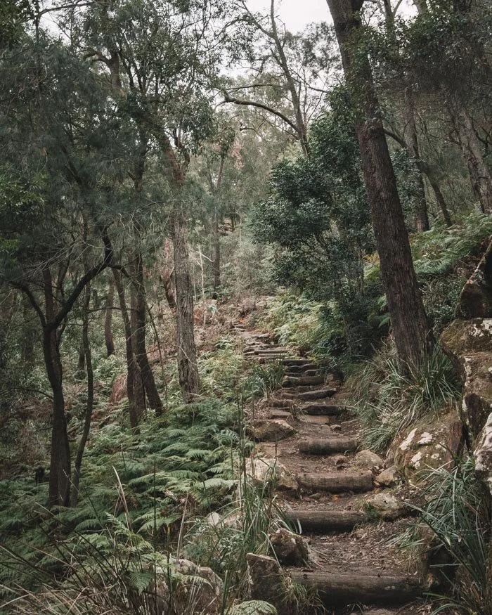 Berowra Track