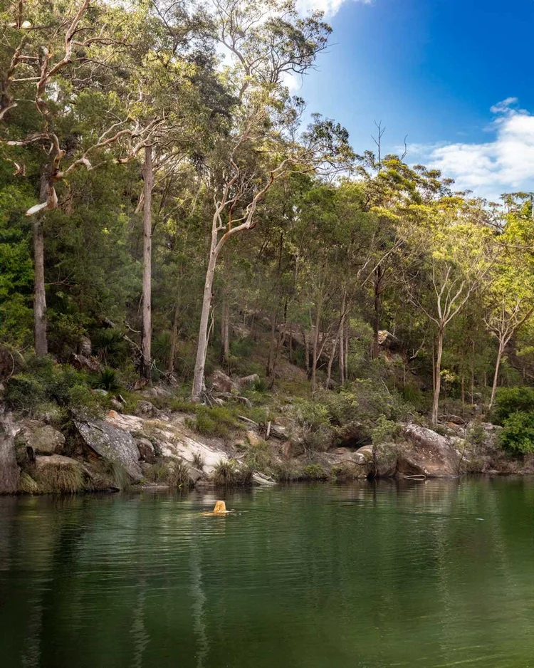 15 Truly Incredible Blue Mountains Wild Swimming Holes — Walk My World