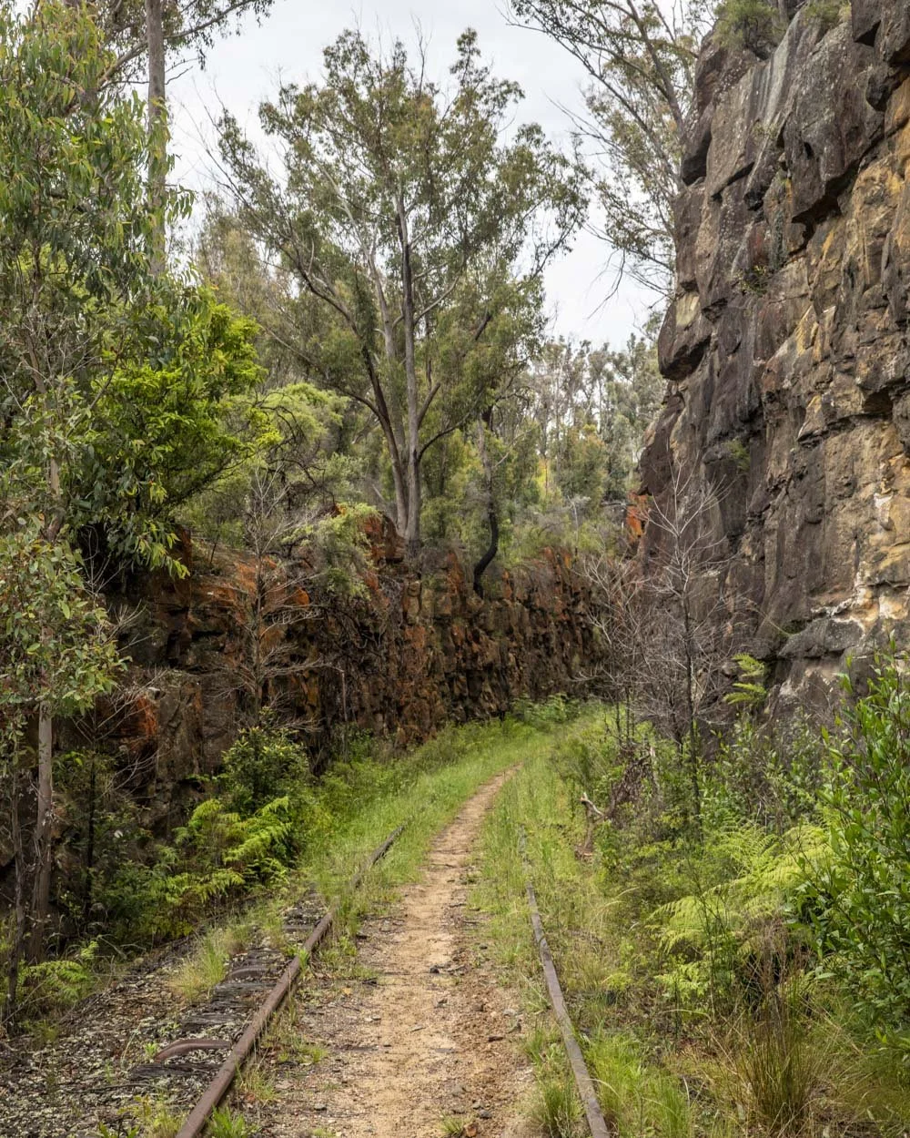 Big Hill Cutting