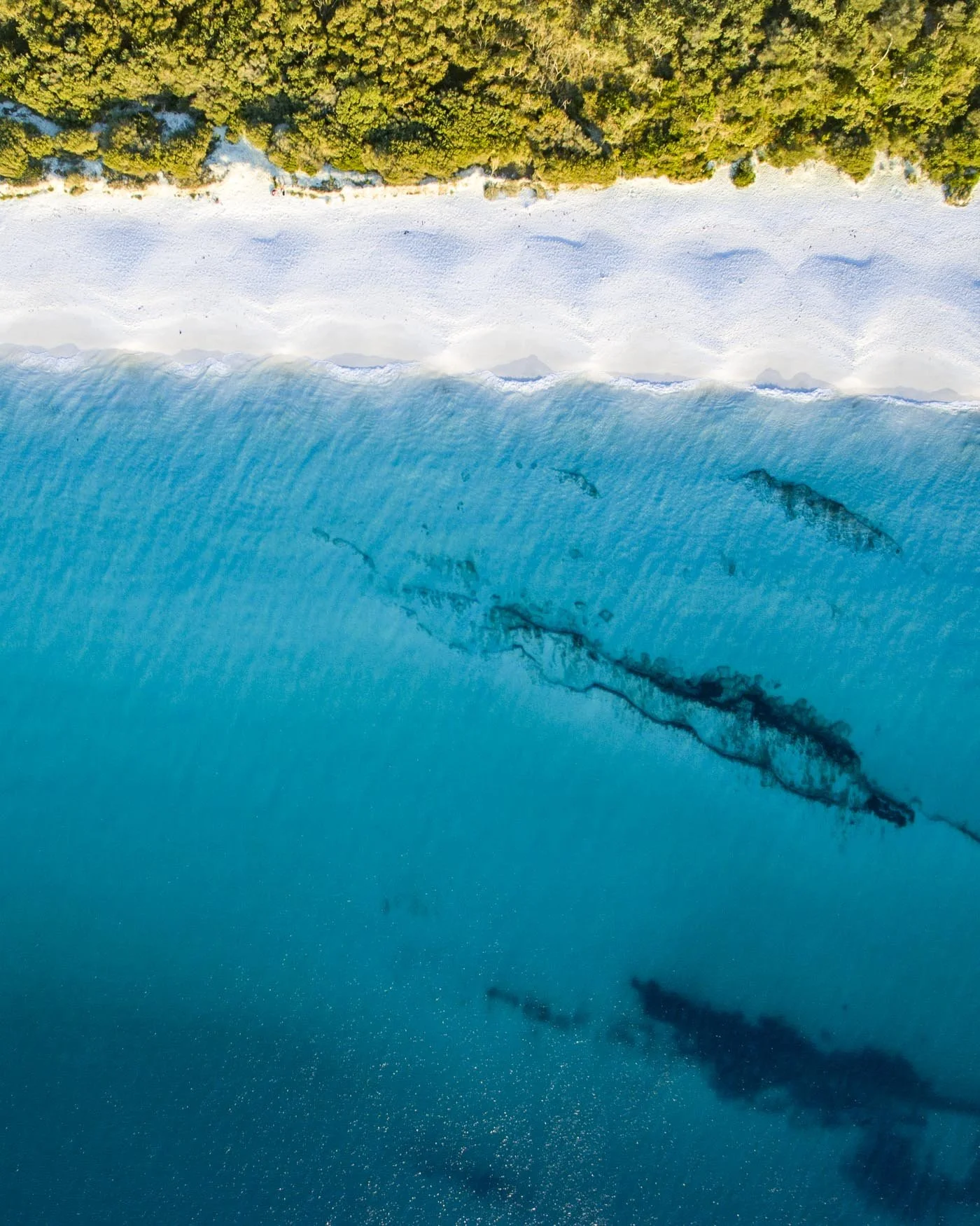 hyams beach