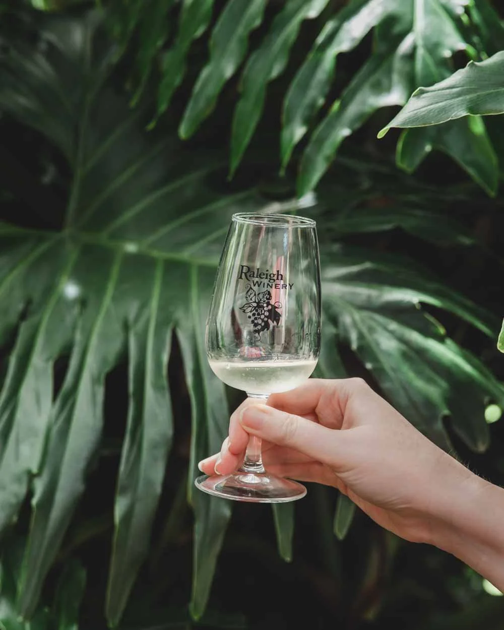 Raleigh Winery - THings to do in Coffs Harbour