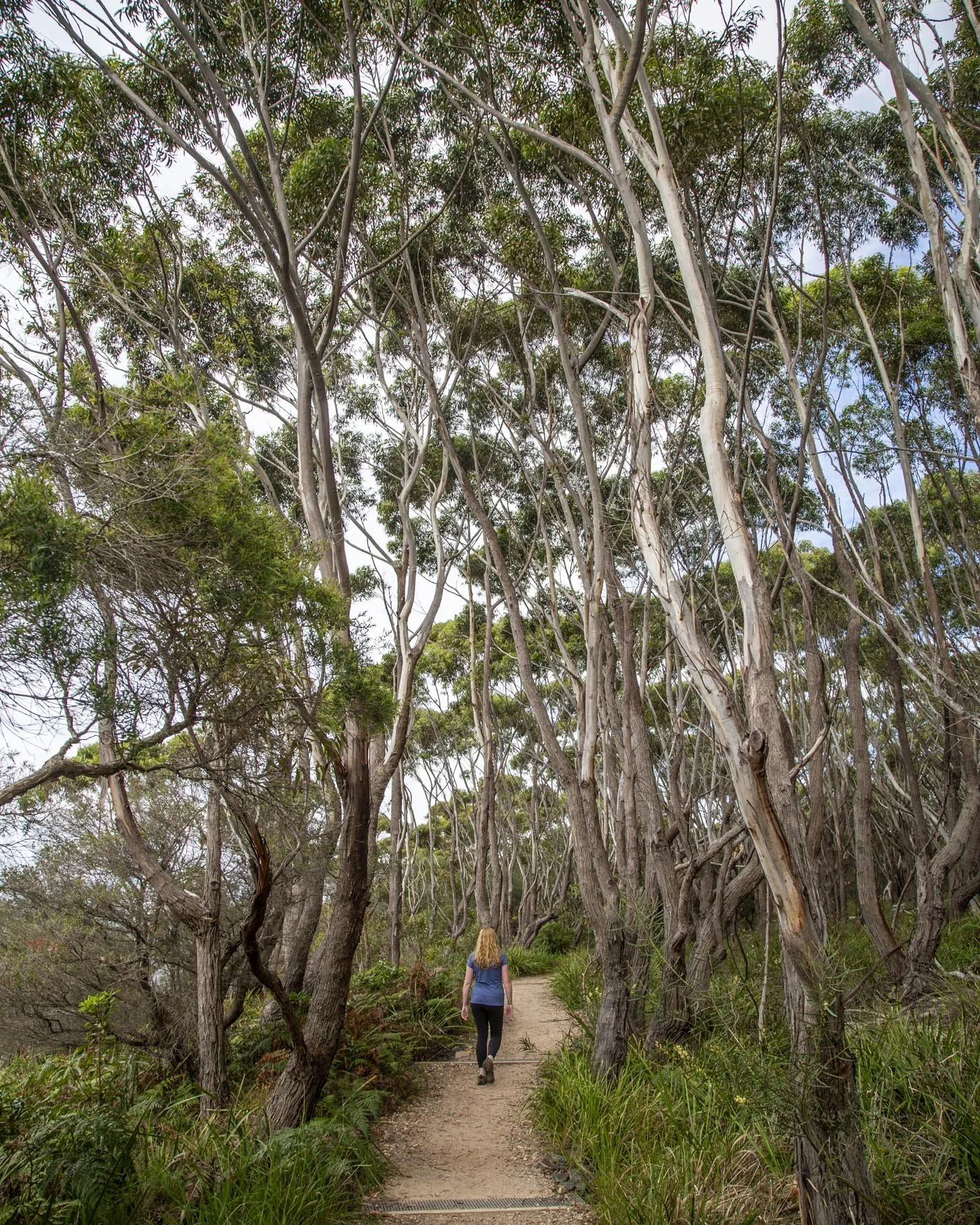 white sands walk